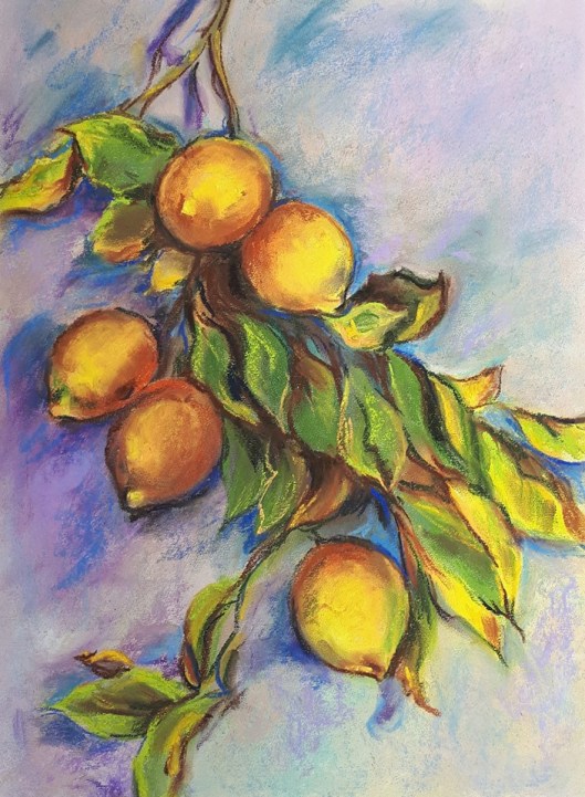 stillleben_mit_zitronen